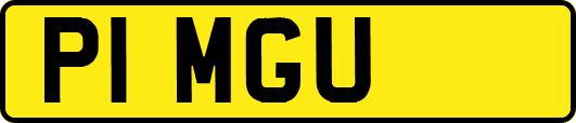 P1MGU