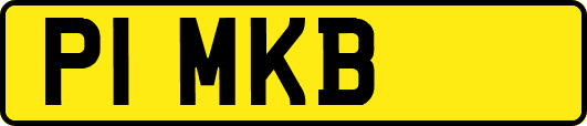 P1MKB