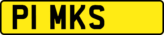 P1MKS