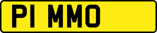 P1MMO