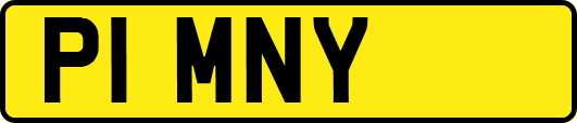 P1MNY