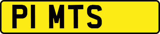 P1MTS