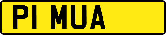 P1MUA