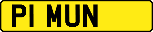 P1MUN