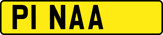 P1NAA