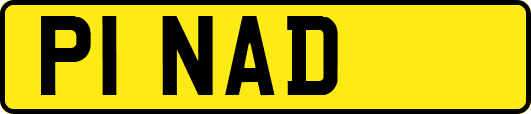P1NAD