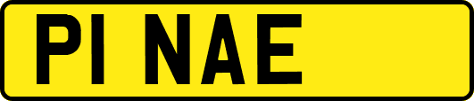 P1NAE