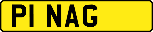 P1NAG