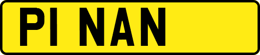 P1NAN
