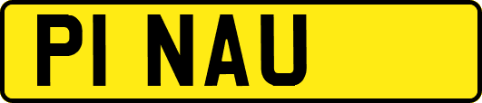 P1NAU