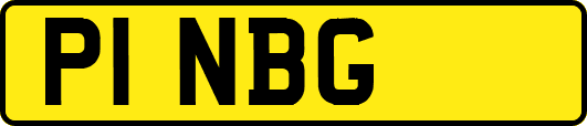 P1NBG