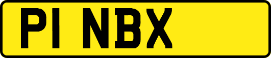 P1NBX