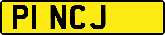 P1NCJ