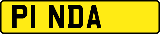 P1NDA