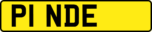 P1NDE