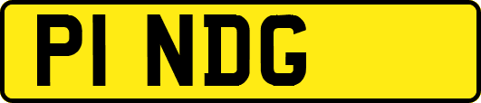 P1NDG