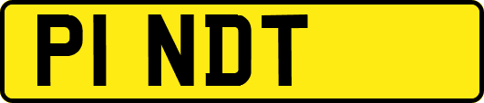 P1NDT