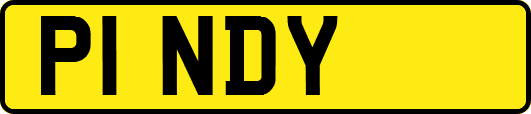 P1NDY