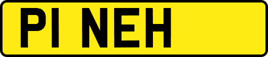 P1NEH
