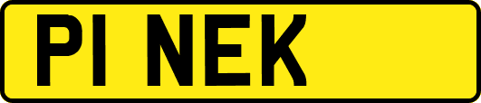 P1NEK