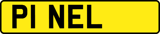 P1NEL