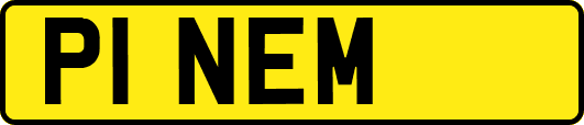 P1NEM