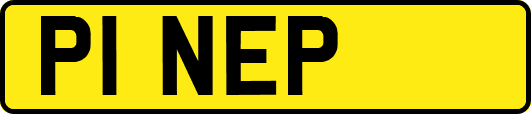 P1NEP