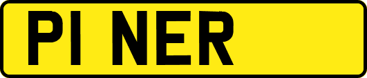 P1NER