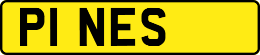P1NES