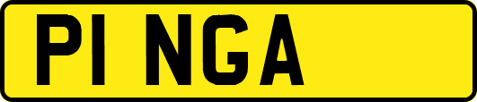 P1NGA