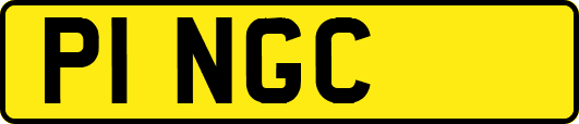 P1NGC