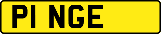 P1NGE