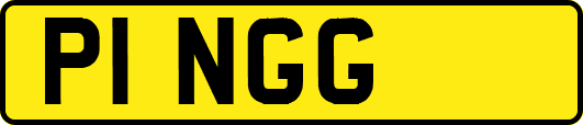 P1NGG