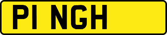P1NGH