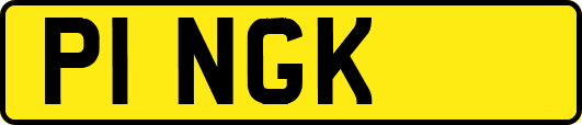 P1NGK