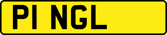P1NGL