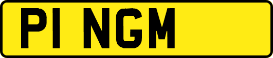 P1NGM