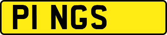 P1NGS