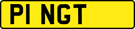 P1NGT