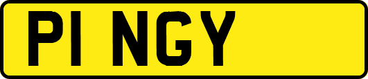 P1NGY