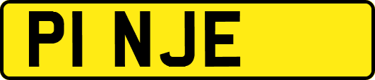 P1NJE