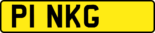 P1NKG