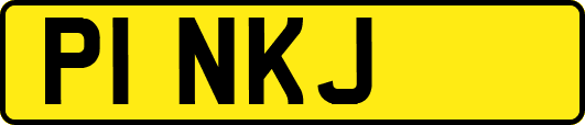 P1NKJ