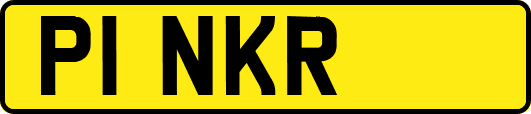 P1NKR