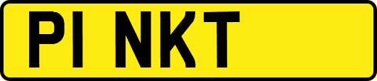 P1NKT