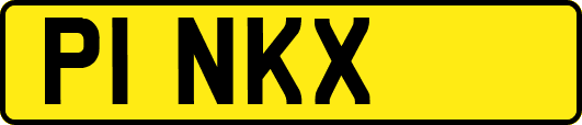 P1NKX