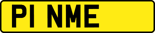 P1NME