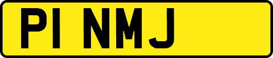 P1NMJ