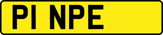 P1NPE