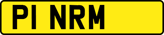 P1NRM